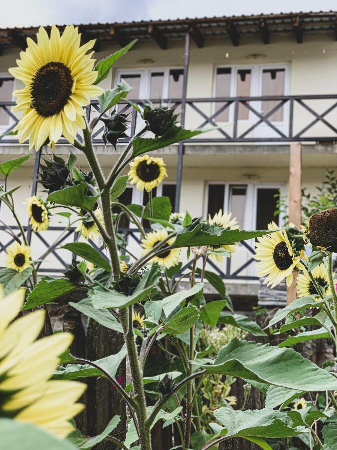 Family Hotel Kala Местия Екстериор снимка